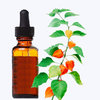 Withania Extract
