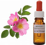 Wild Rose Essence 50ml