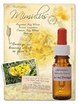 Mimulus Flower Remedy