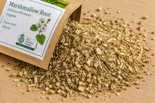 Shatavari Herb Organic