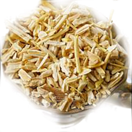 Shatavari Organic