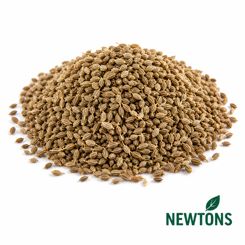 Aniseed Organic