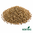 Aniseed Organic