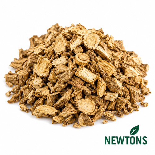 Angelica Root Cert Organic