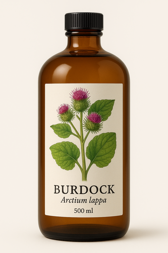 Burdock Extract