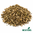 Blue Flag Root Cut