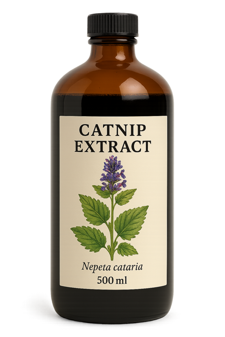 Catmint Catnip Extract