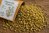 Chamomile Flower Organic