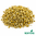 Chamomile Flower Organic