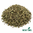 Catnep Cert Organic