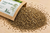 Celery Seeds Organic