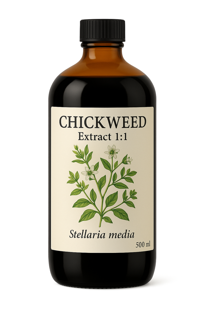 Chickweed Extract