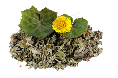 Coltsfoot Organic