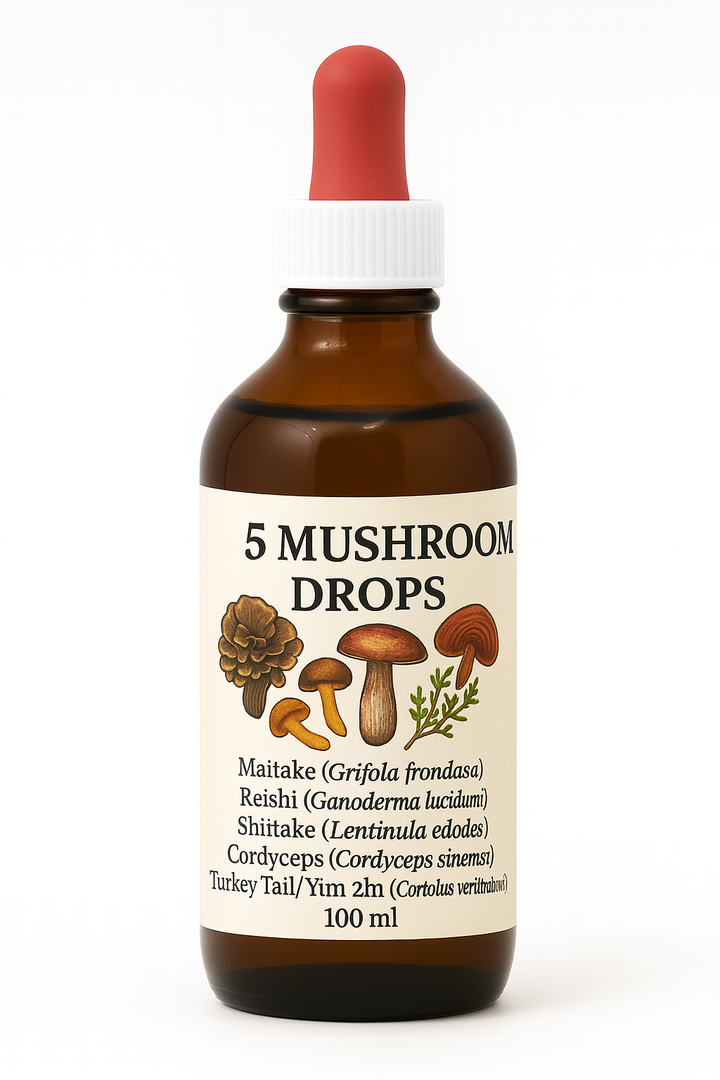 5 Mushroom Extracts