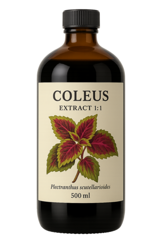 Coleus barbatus Extract