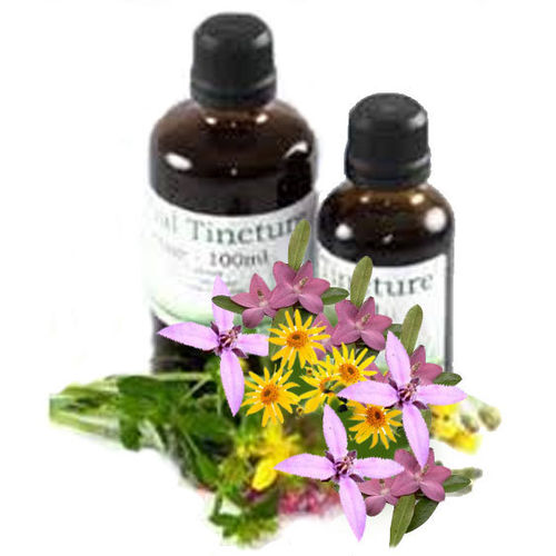 Eyebright Complex Tincture
