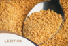 Soy Lecithin Granules