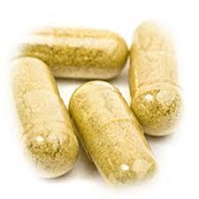 SLIPPERY ELM 500mg 100 CAPSULES