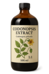 Codonopsis Extract