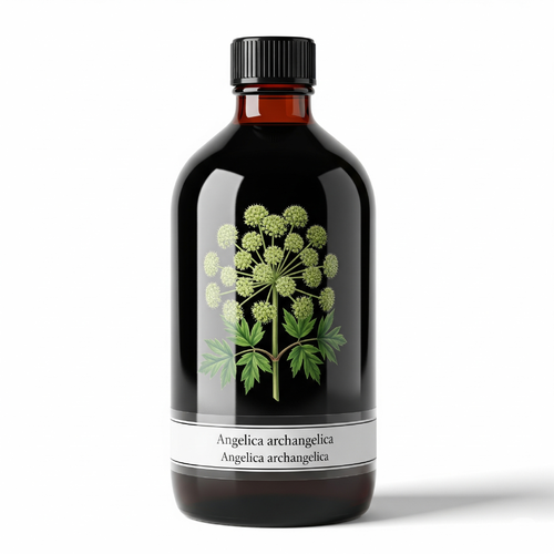 Angelica Archangelica Extract