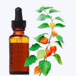 Withania Extract