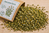 Feverfew Cert. Organic