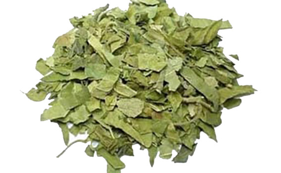 Gymnema Leaf Cert. Organic
