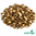 Horse Chestnut Cert Organic