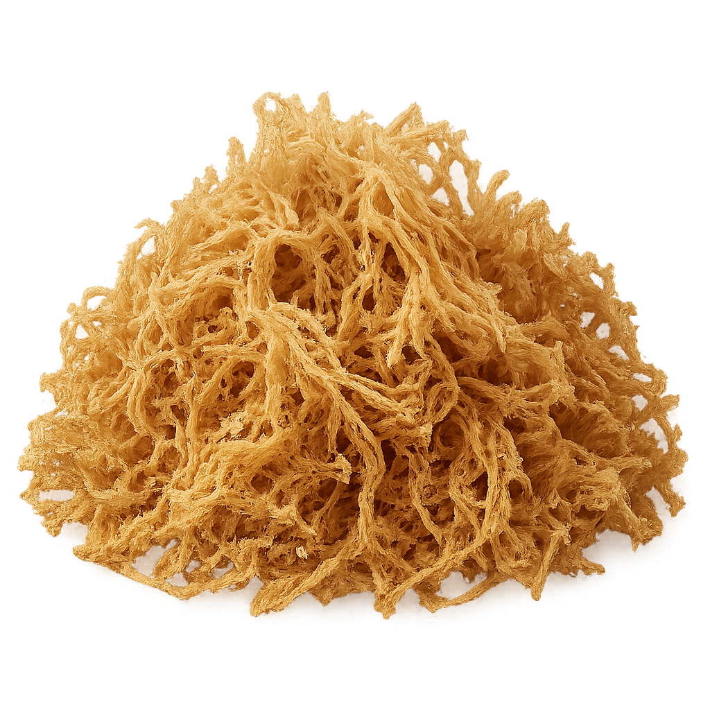 Irish Moss Cert. Organic