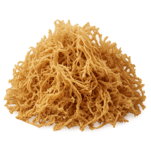 Irish Moss Cert. Organic