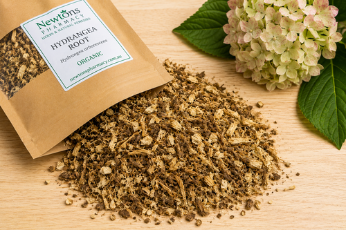 Hydrangea Root Organic