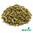 Knotgrass Organic 70g