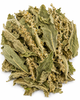Mullein Herb Organic