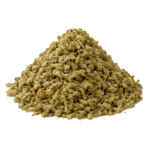 Mullein Herb Organic