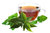 Neem Leaves Organic