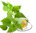 Nettle Leaf Cert. Organic