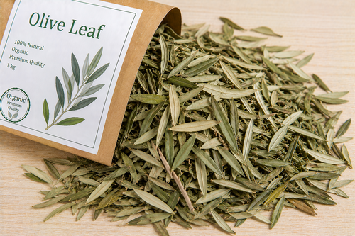 Olive Leaf Organic