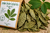 Paw Paw Leaf Certified Organic