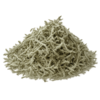 Wormwood  Cert. Organic