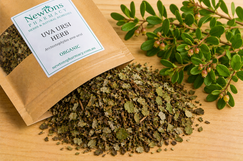 Uva Ursi Leaf Organic