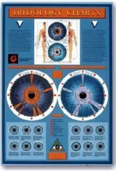 Iridology Wall Chart