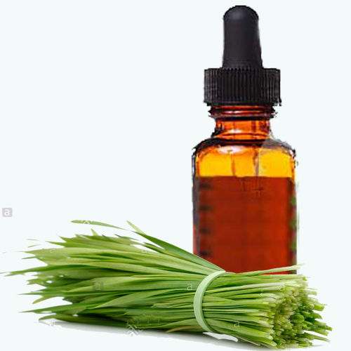 Couch Grass Extract