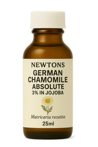 Chamomile German Absolute 3% in Jojoba, 10ml