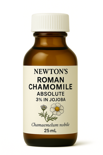 Chamomile Roman