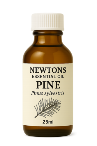 Pine Essential Oil