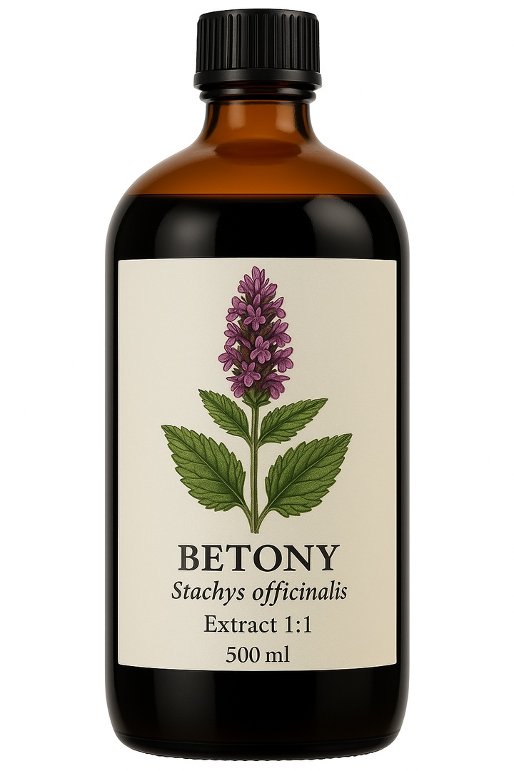 Betony Extract