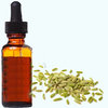 Fennel Seed  Extract