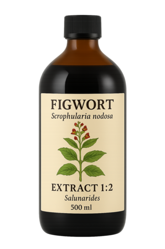 Figwort Extract