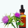 St Mary's Thistle Extract