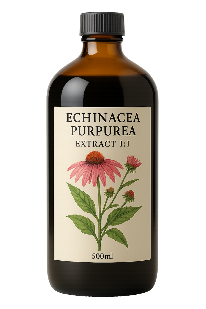 Echinacea Purpurea Extract